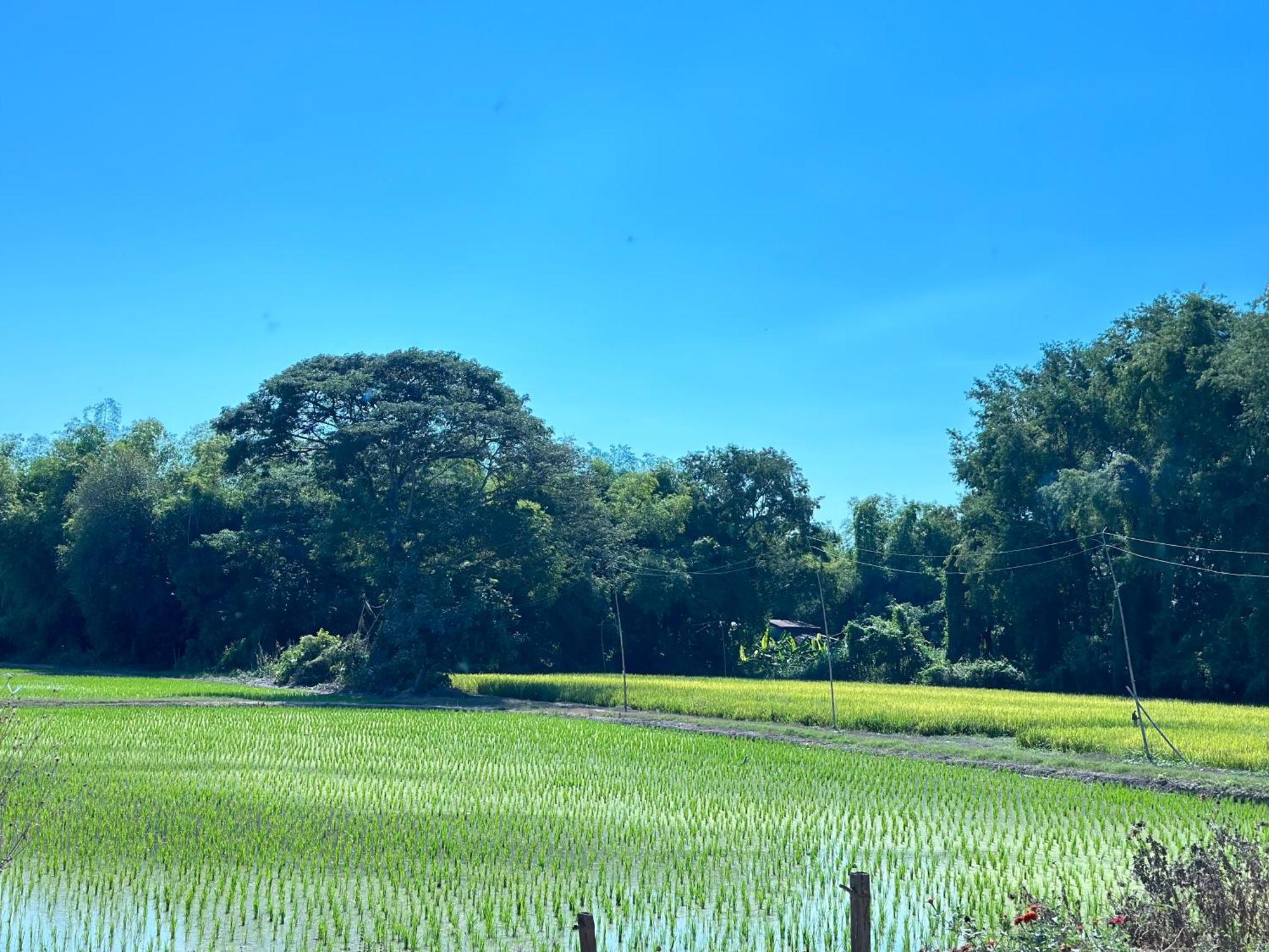 Ban Suweena Uthai Thani Ngoại thất bức ảnh