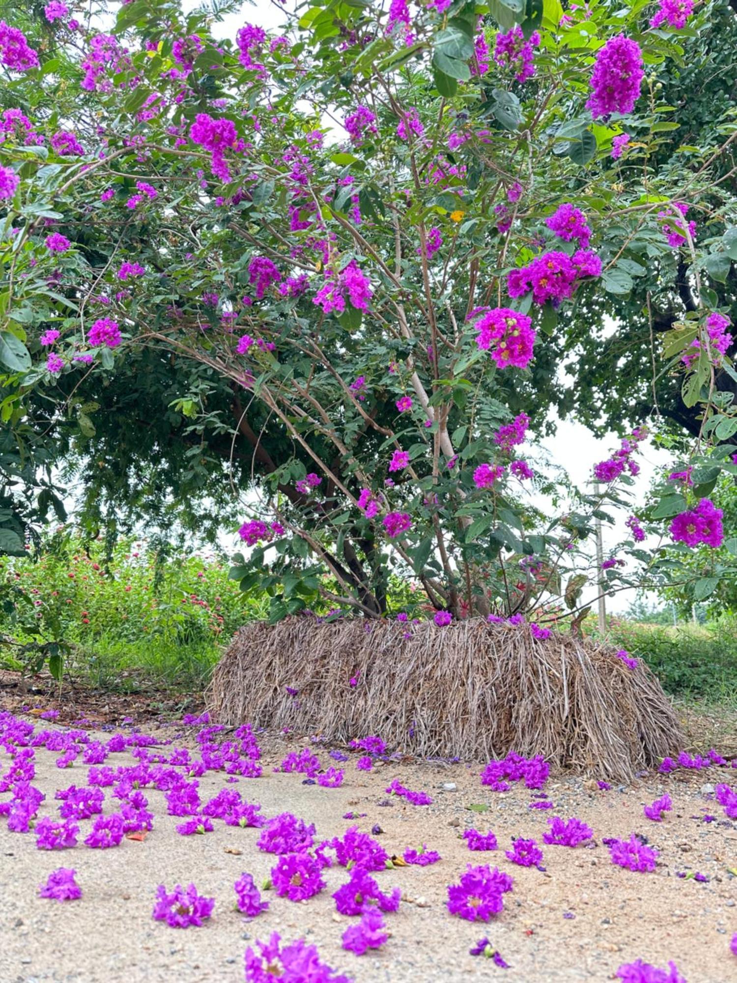 Ban Suweena Uthai Thani Ngoại thất bức ảnh