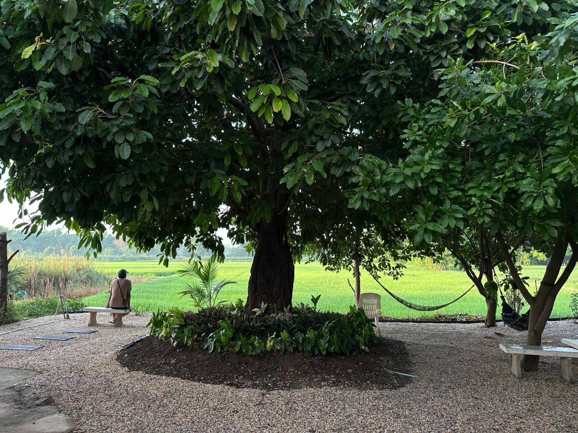Ban Suweena Uthai Thani Ngoại thất bức ảnh